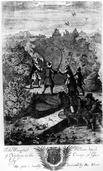 Vogels vangen met een net, uit 